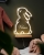 Neonlampe med flere indstillinger