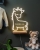 Justerbar neonlampe med girafmotiv og gravering